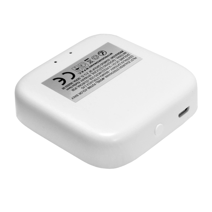 Bramka sterująca 2,4g fut090 1602 - decorativi
