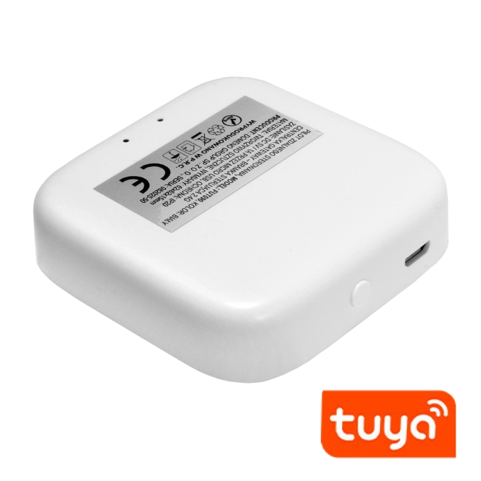 Bramka sterująca 2,4g fut090 1602 - decorativi